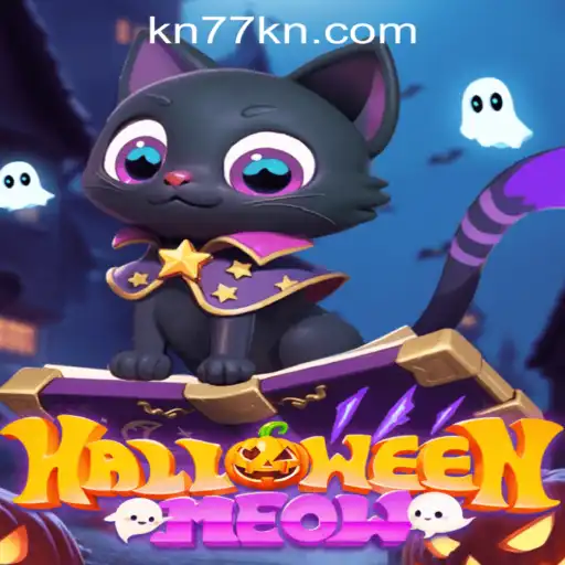HalloweenMeow: A Thrilling Adventure Awaits This Spooky Season
